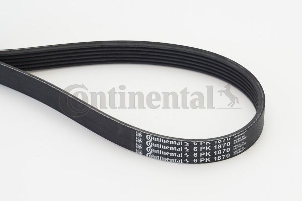 V-Ribbed Belt CONTINENTAL CTAM 6PK1870