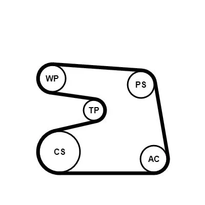 V-ribbed Belt Set CONTINENTAL CTAM 6PK1873K4