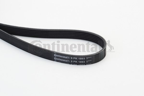 V-Ribbed Belt CONTINENTAL CTAM 6PK1893