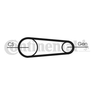 V-ribbed Belt Set CONTINENTAL CTAM 6PK831 ELAST T2