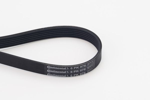 V-Ribbed Belt CONTINENTAL CTAM 6PK976