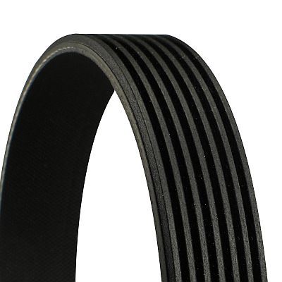 V-Ribbed Belt CONTINENTAL CTAM 7PK1076