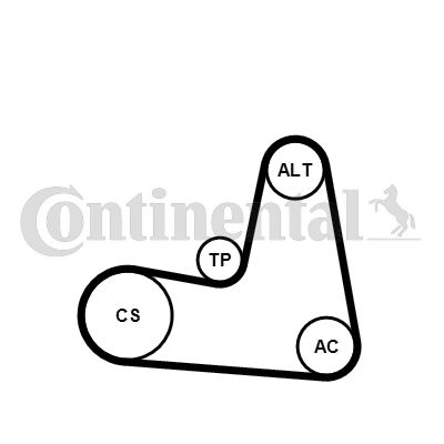 V formos rumbuotas diržas, komplektas CONTINENTAL CTAM 7PK1125K1