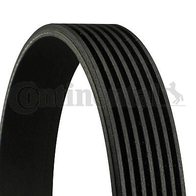 V-Ribbed Belt CONTINENTAL CTAM 7PK1290