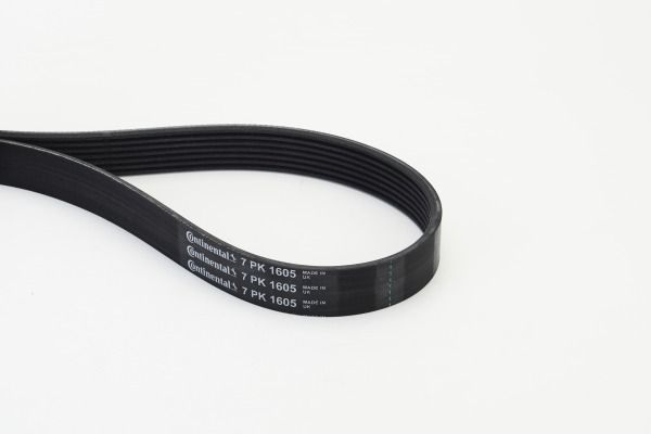 V-Ribbed Belt CONTINENTAL CTAM 7PK1605