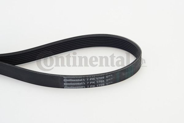 V-Ribbed Belt CONTINENTAL CTAM 7PK1705