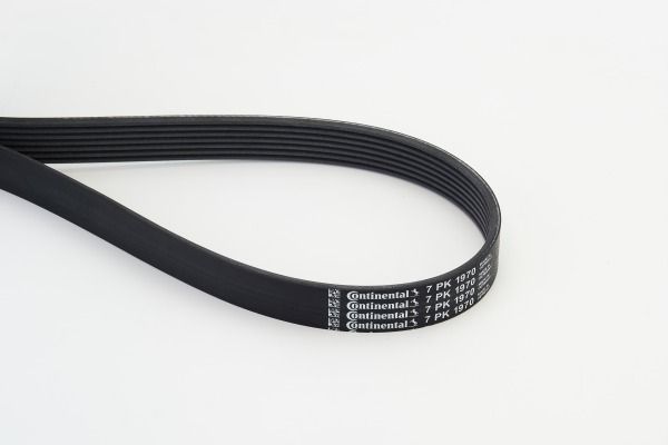 V-Ribbed Belt CONTINENTAL CTAM 7PK1970