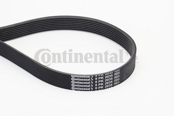 V-Ribbed Belt CONTINENTAL CTAM 8PK2035