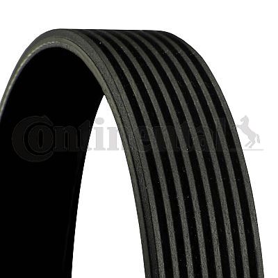 V-Ribbed Belt CONTINENTAL CTAM 8PK2050