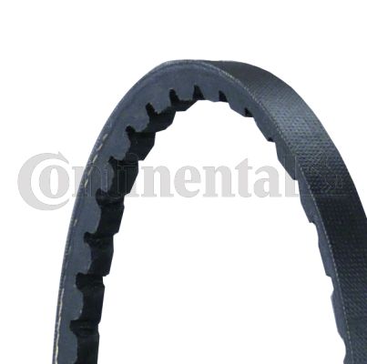 V formos diržas CONTINENTAL CTAM AVX10X1065
