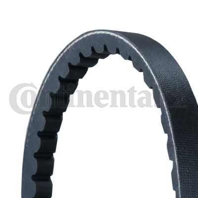 V-Belt CONTINENTAL CTAM AVX13X1625