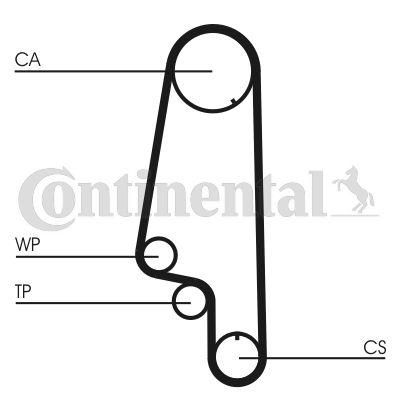 Водяний насос + зубчастий ремінь CONTINENTAL CTAM CT846WP4