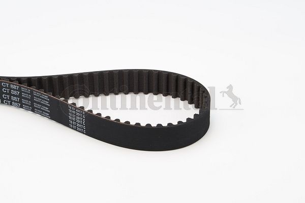 Timing Belt CONTINENTAL CTAM CT887