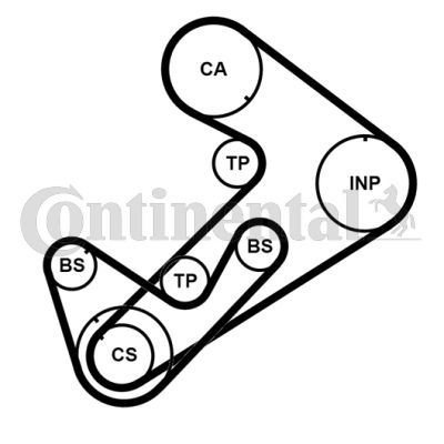 Timing Belt Kit CONTINENTAL CTAM CT921K3PRO