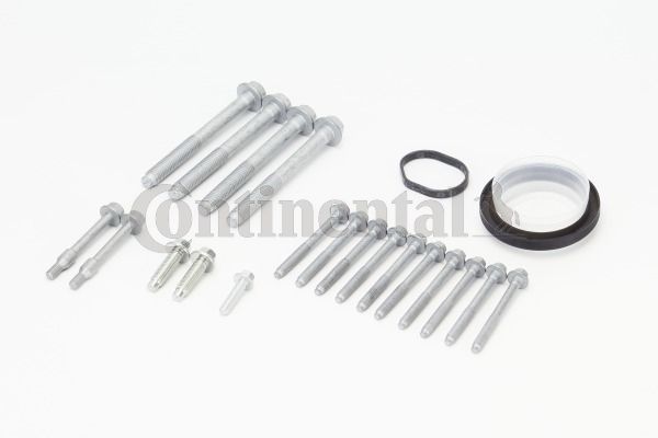 Screw Kit, timing case CONTINENTAL CTAM MS54