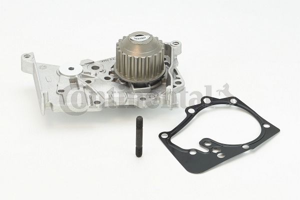 Water Pump, engine cooling CONTINENTAL CTAM WP6009