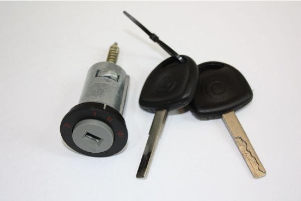 Cylindre de verrouillage, serrure d'allumage AUTOMEGA 100082510