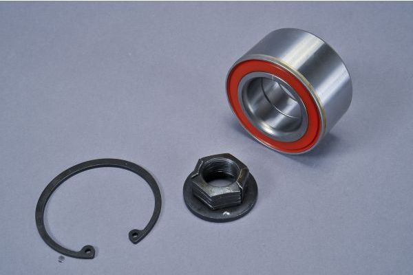 Wheel Bearing Kit AUTOMEGA 110008310