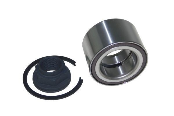 Wheel Bearing Kit AUTOMEGA 110142010