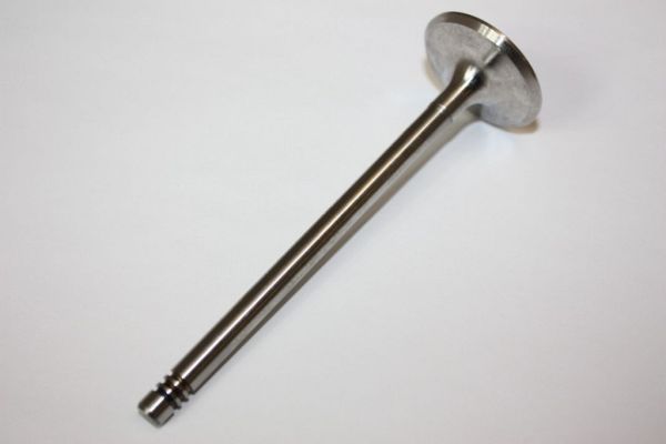 Intake Valve AUTOMEGA 130107110