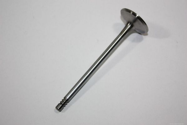 Intake Valve AUTOMEGA 130107310