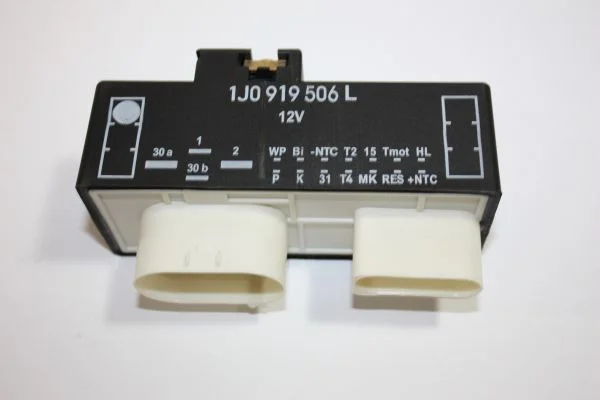Valdymo blokas, elektrinis ventiliatorius (variklio aušinima AUTOMEGA 150039810