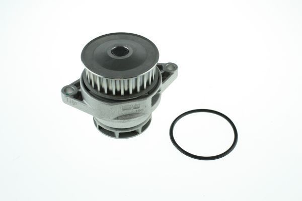 Water Pump, engine cooling AUTOMEGA 160011710