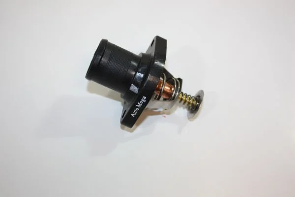 Termostatas, aušinimo skystis AUTOMEGA 160086810