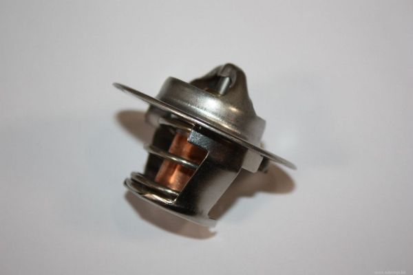 Thermostat, coolant AUTOMEGA 160099810