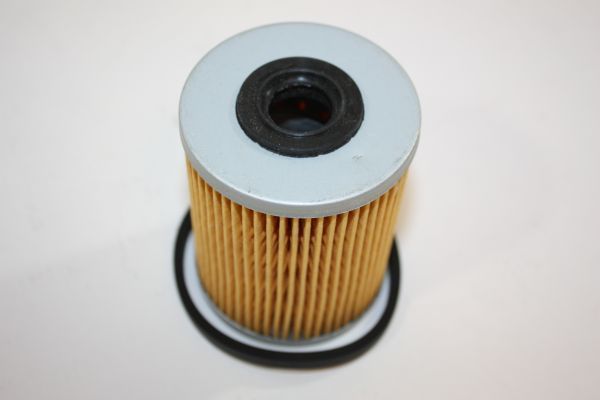 Fuel Filter AUTOMEGA 180015010