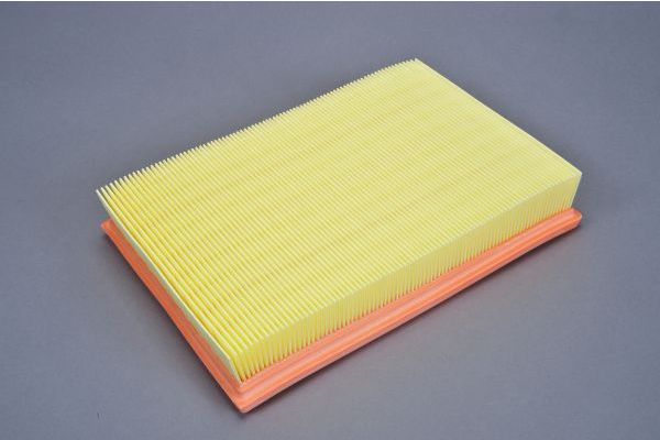 Air Filter AUTOMEGA 180015710