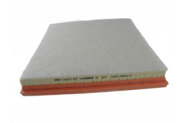 Air Filter AUTOMEGA 180020910