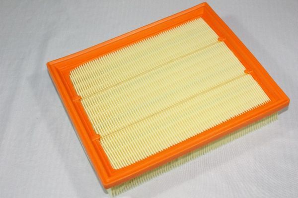 Air Filter AUTOMEGA 180024910