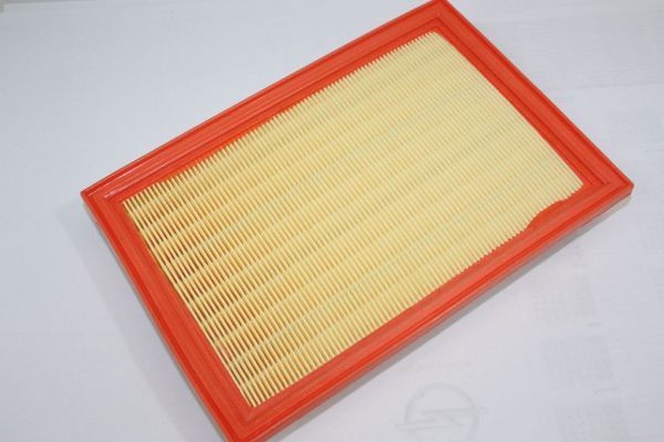 Air Filter AUTOMEGA 180027410