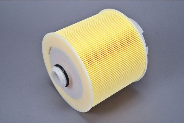 Air Filter AUTOMEGA 180027810