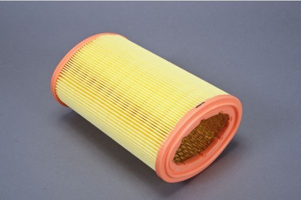 Air Filter AUTOMEGA 180033410