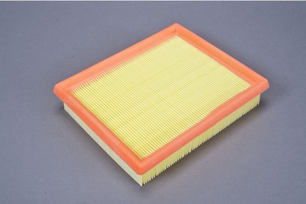 Air Filter AUTOMEGA 180034110