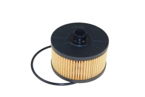 Oil Filter AUTOMEGA 180053910