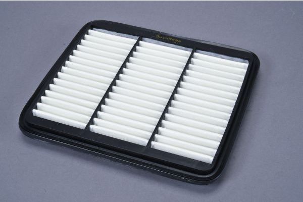 Air Filter AUTOMEGA 180070110