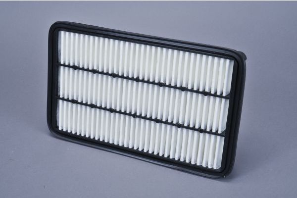 Air Filter AUTOMEGA 180071410