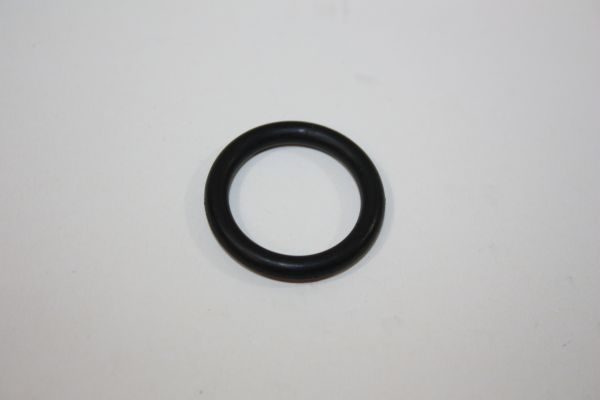 Seal Ring, thermal switch AUTOMEGA 190013310