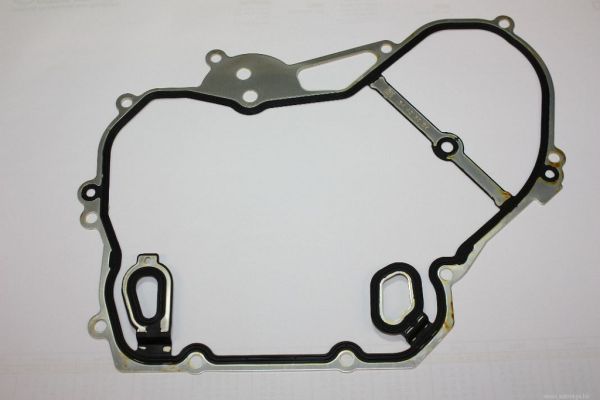 Gasket, timing case AUTOMEGA 190072910