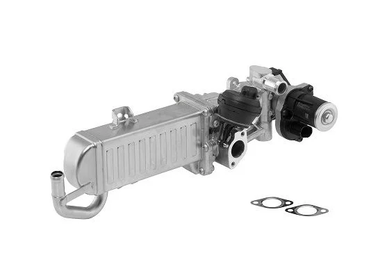 ERG modulis BorgWarner 710861D