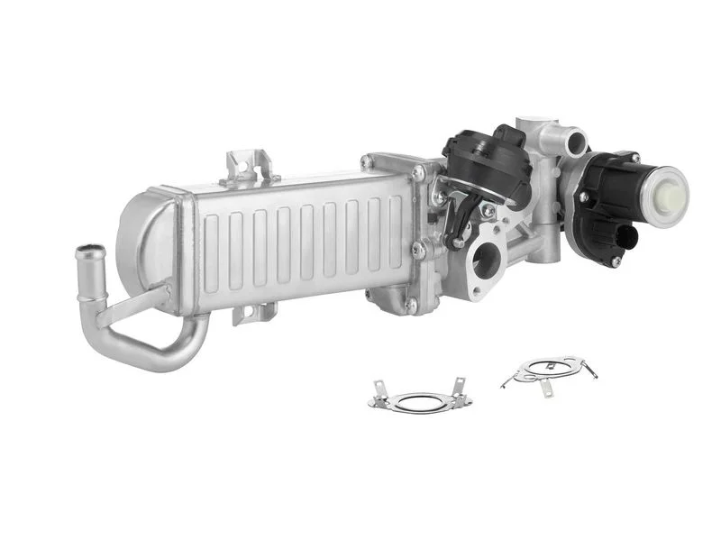 ERG modulis BorgWarner 710861D/1
