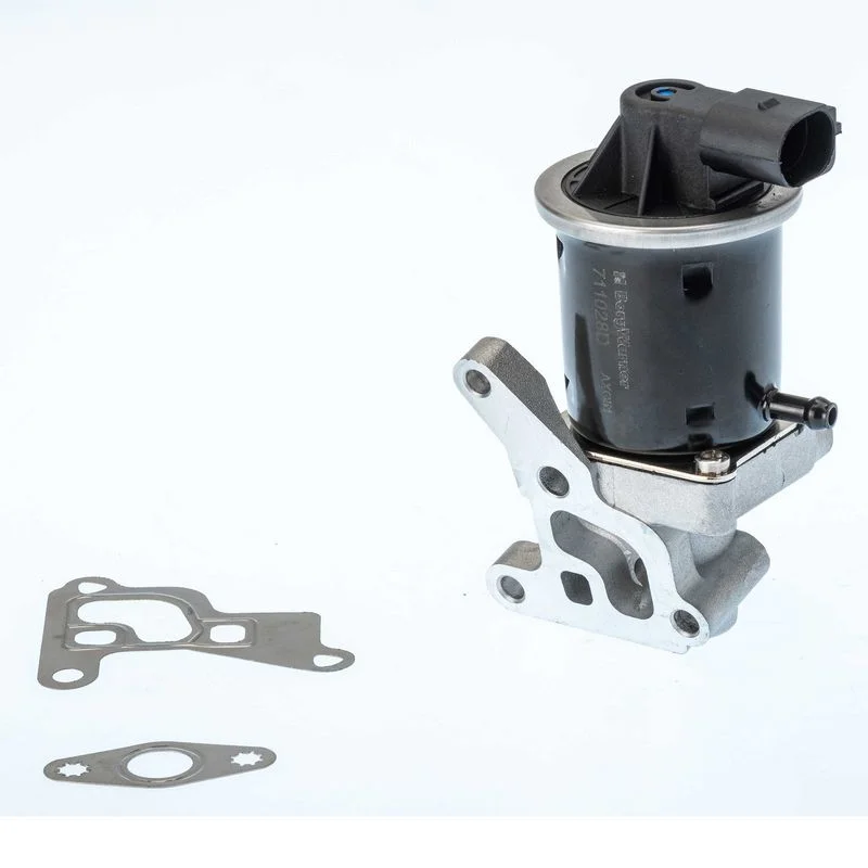 ERG vožtuvas BORGWARNER 711028D