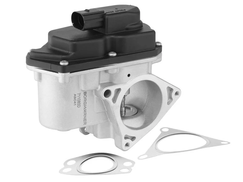 ERG vožtuvas BORGWARNER 711080D