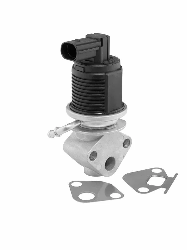 ERG vožtuvas BorgWarner 712055D