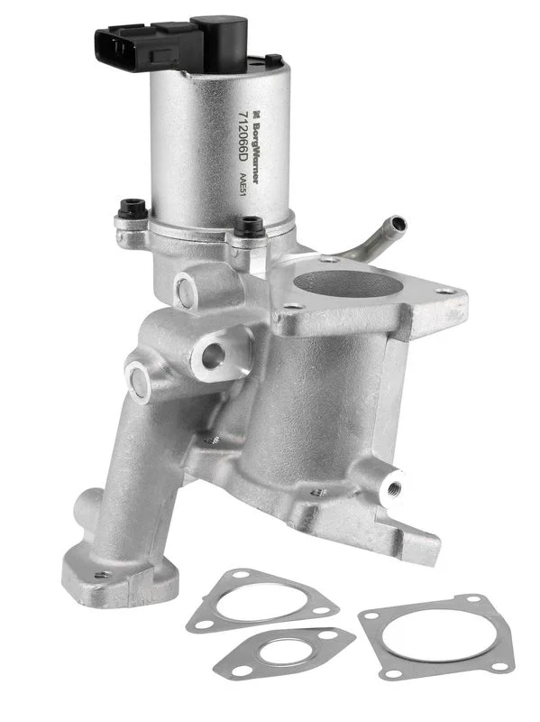 ERG vožtuvas BORGWARNER 712066D