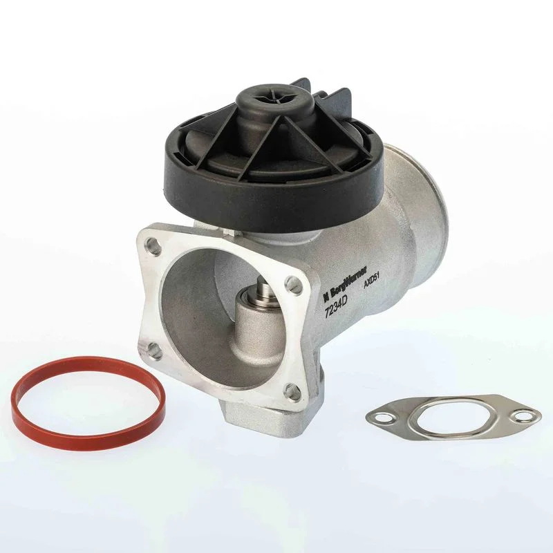 ERG vožtuvas BORGWARNER 7234D
