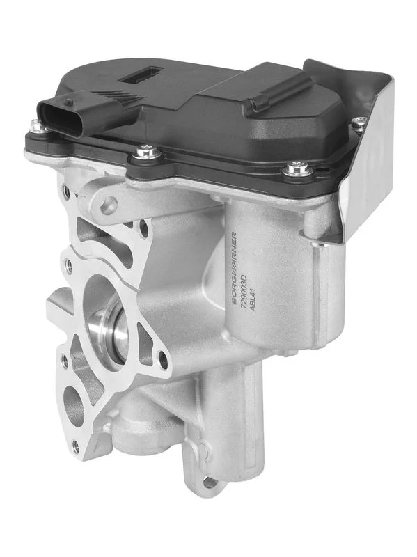 ERG vožtuvas BW 729003D